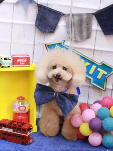 20230427クーくん